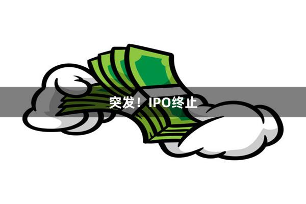 突发！IPO终止