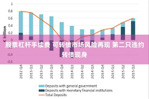 股票杠杆手续费 可转债市场风险再现 第二只违约转债现身