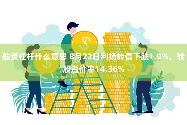 融资杠杆什么意思 8月22日利扬转债下跌1.9%，转股溢价率14.36%