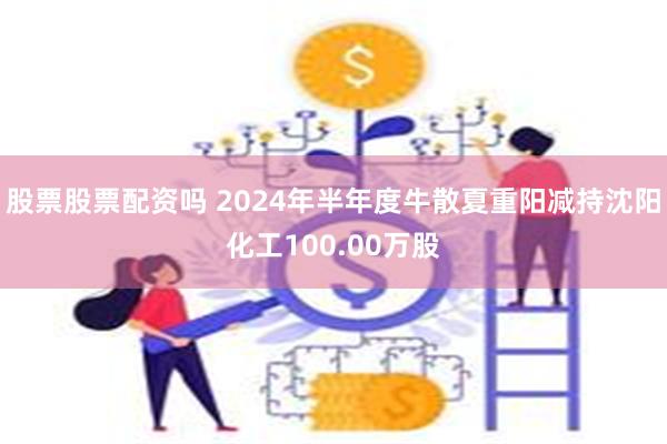 股票股票配资吗 2024年半年度牛散夏重阳减持沈阳化工100.00万股