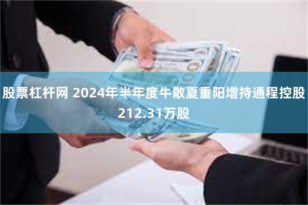 股票杠杆网 2024年半年度牛散夏重阳增持通程控股212.31万股