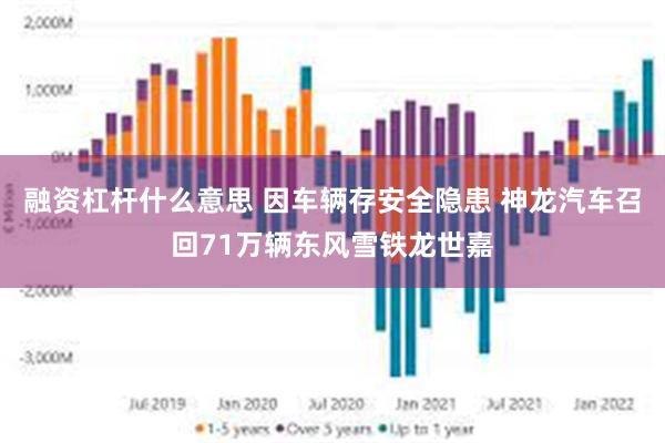 融资杠杆什么意思 因车辆存安全隐患 神龙汽车召回71万辆东风雪铁龙世嘉