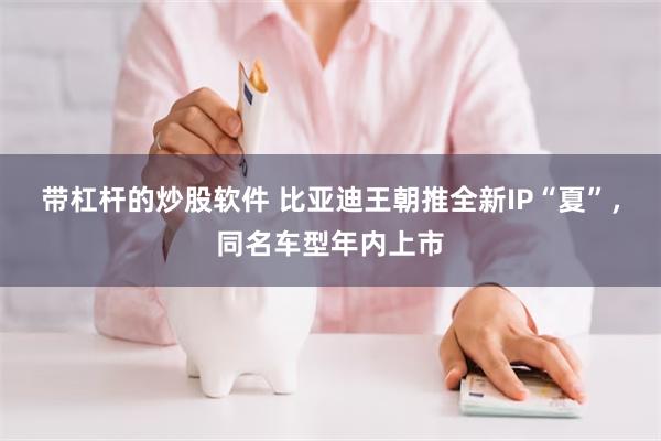 带杠杆的炒股软件 比亚迪王朝推全新IP“夏”，同名车型年内上市