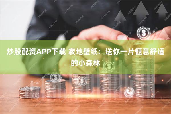 炒股配资APP下载 寂地壁纸：送你一片惬意舒适的小森林