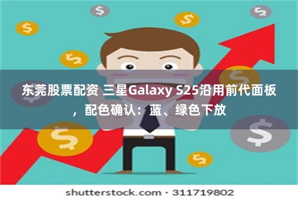 东莞股票配资 三星Galaxy S25沿用前代面板，配色确认：蓝、绿色下放