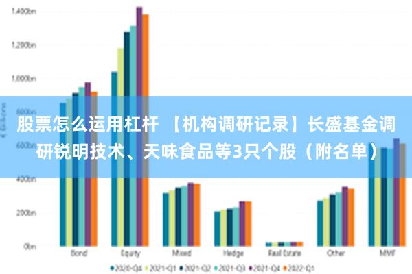 股票怎么运用杠杆 【机构调研记录】长盛基金调研锐明技术、天味食品等3只个股（附名单）