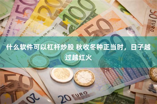 什么软件可以杠杆炒股 秋收冬种正当时，日子越过越红火