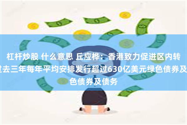 杠杆炒股 什么意思 丘应桦：香港致力促进区内转型 过去三年每年平均安排发行超过630亿美元绿色债券及债务