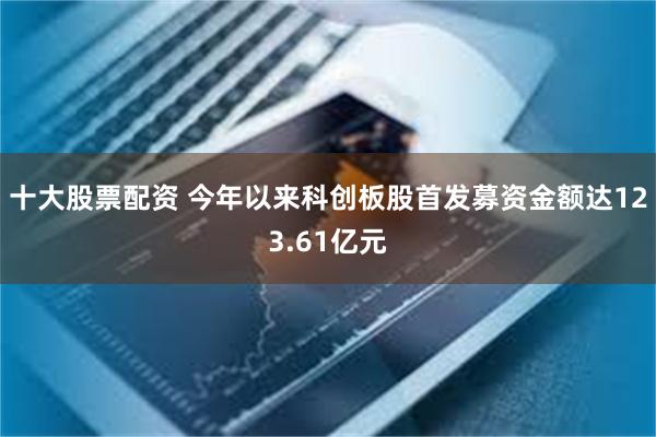 十大股票配资 今年以来科创板股首发募资金额达123.61亿元